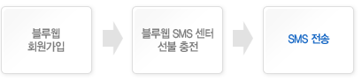����� SMS ��û ����