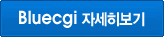 ����CGI ���캸��
