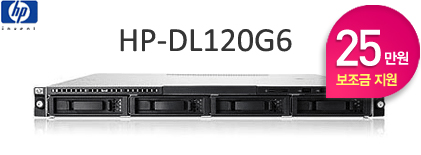 HP-DL120G6 (25���� ������ ����)