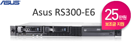 Asus RS300-E6 (41���� ������ ����)